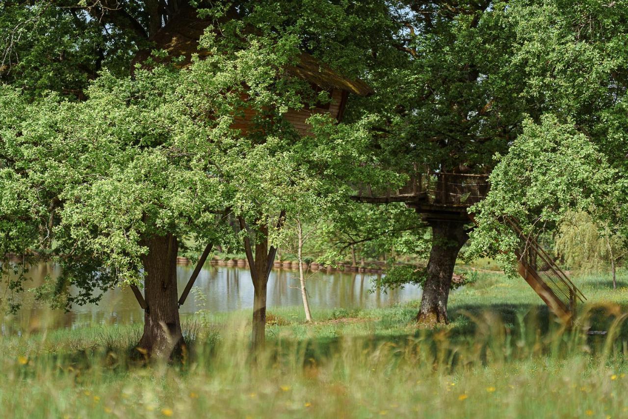 Cabane Perchee Dans Les Arbres Saint-Hilaire-en-Morvan Eksteriør bilde