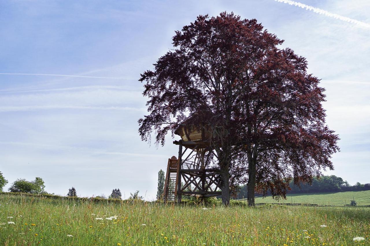 Cabane Perchee Dans Les Arbres Saint-Hilaire-en-Morvan Eksteriør bilde