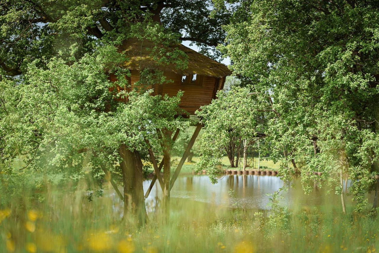 Cabane Perchee Dans Les Arbres Saint-Hilaire-en-Morvan Eksteriør bilde