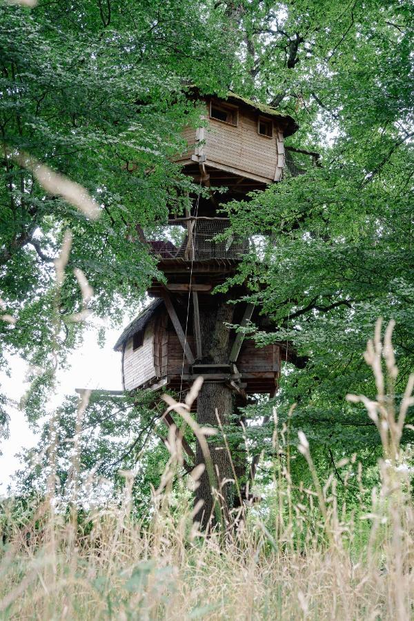 Cabane Perchee Dans Les Arbres Saint-Hilaire-en-Morvan Eksteriør bilde
