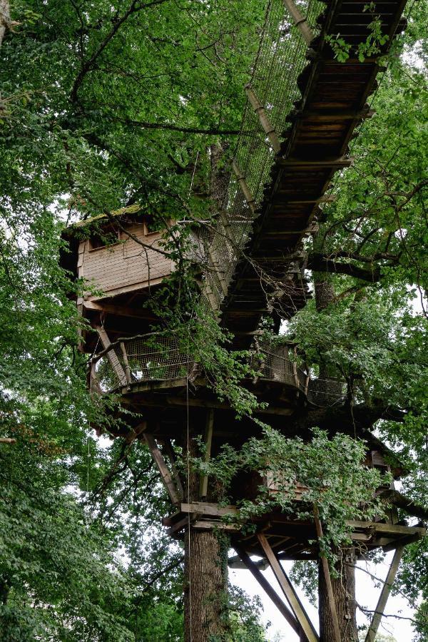 Cabane Perchee Dans Les Arbres Saint-Hilaire-en-Morvan Eksteriør bilde