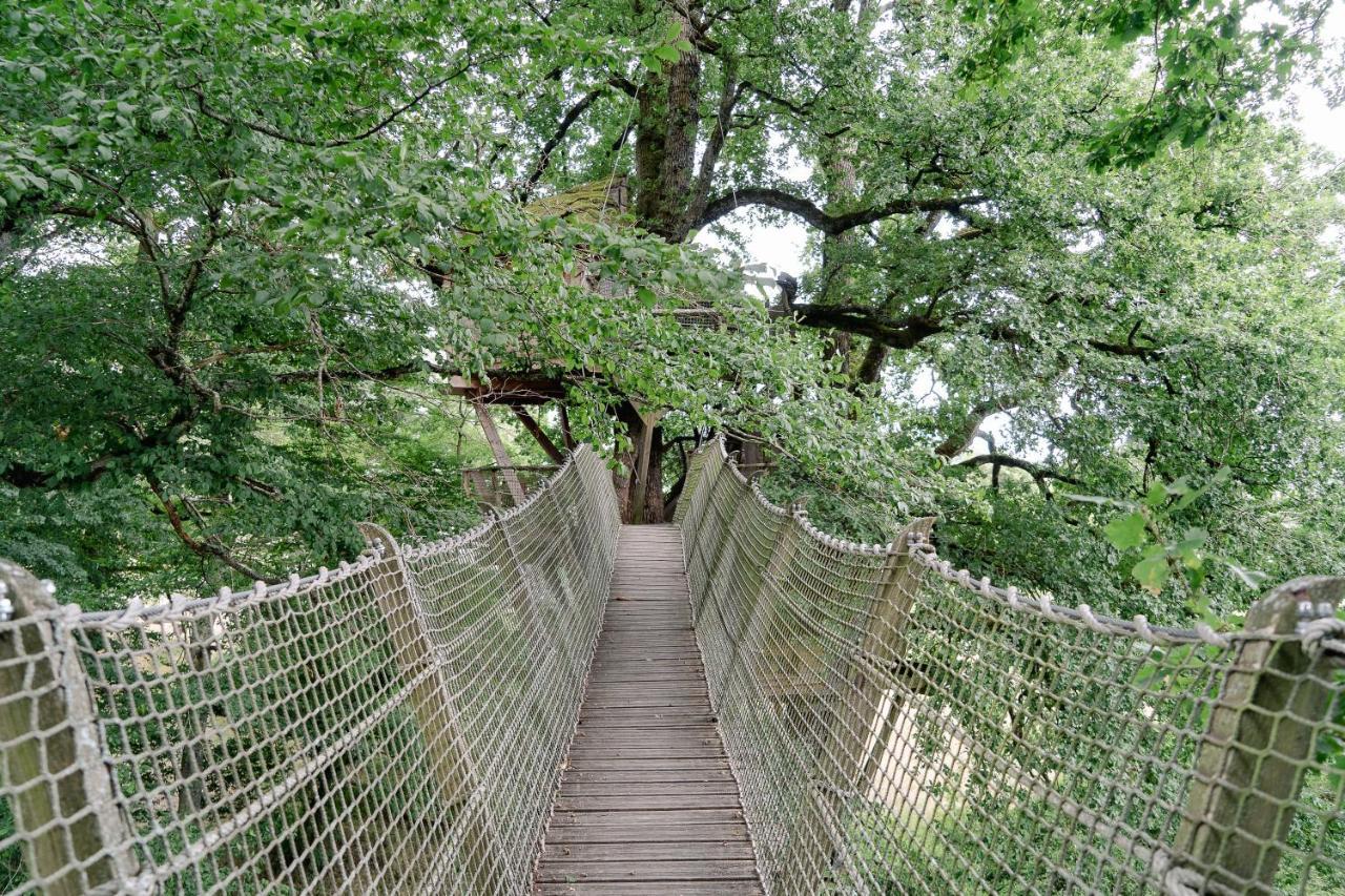 Cabane Perchee Dans Les Arbres Saint-Hilaire-en-Morvan Eksteriør bilde