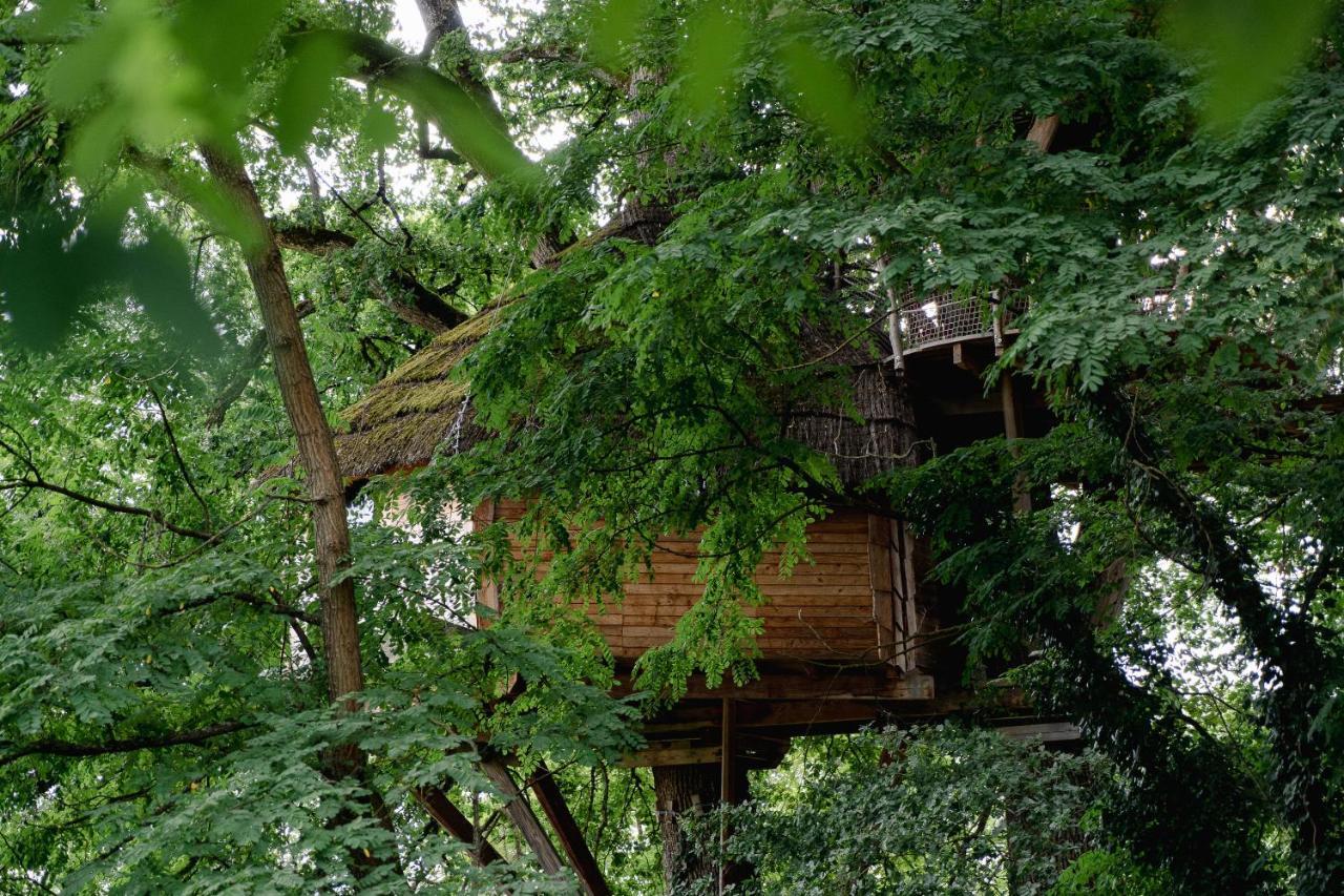 Cabane Perchee Dans Les Arbres Saint-Hilaire-en-Morvan Eksteriør bilde