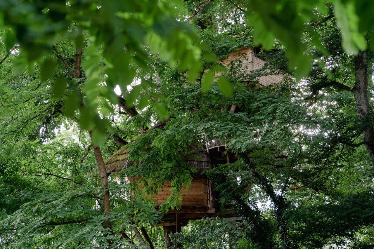 Cabane Perchee Dans Les Arbres Saint-Hilaire-en-Morvan Eksteriør bilde